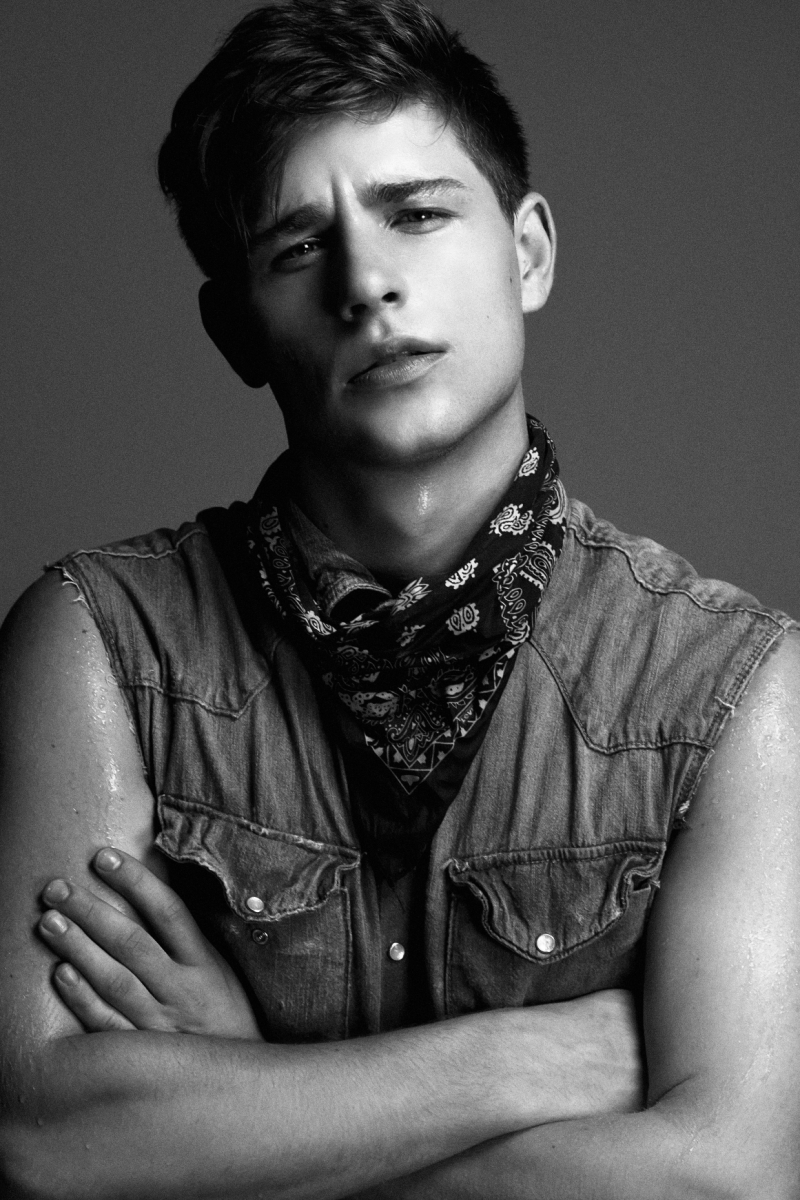 Model - DENNIS